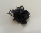 Women's Flower Brooches Black feathers (pack of 2) for enhance for dress